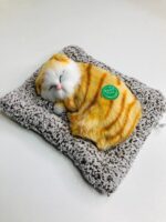 Sleeping cat