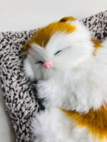 Sleeping cat - Image 2